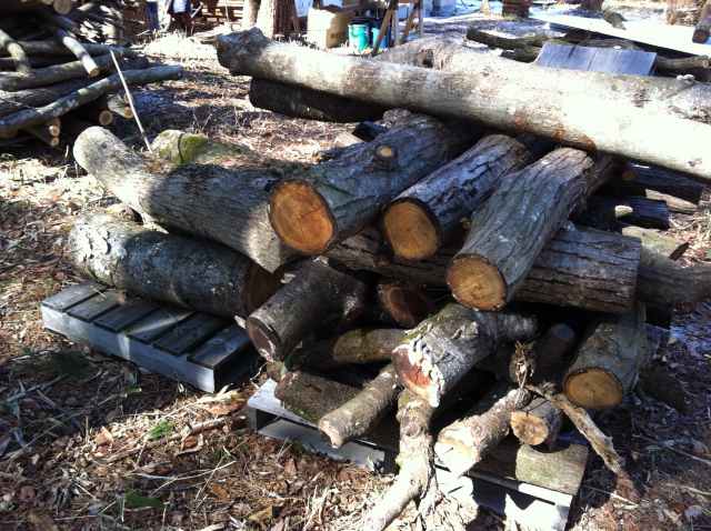 Wood Stove (1)